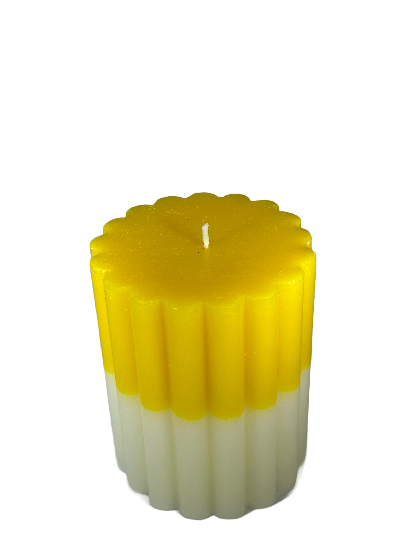 Scallop - White Tea Scent, Yellow/White