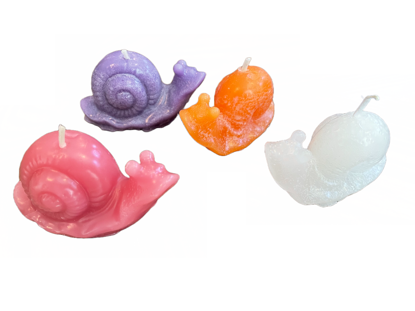 Snail - Ginger and Spice Scent, Orange