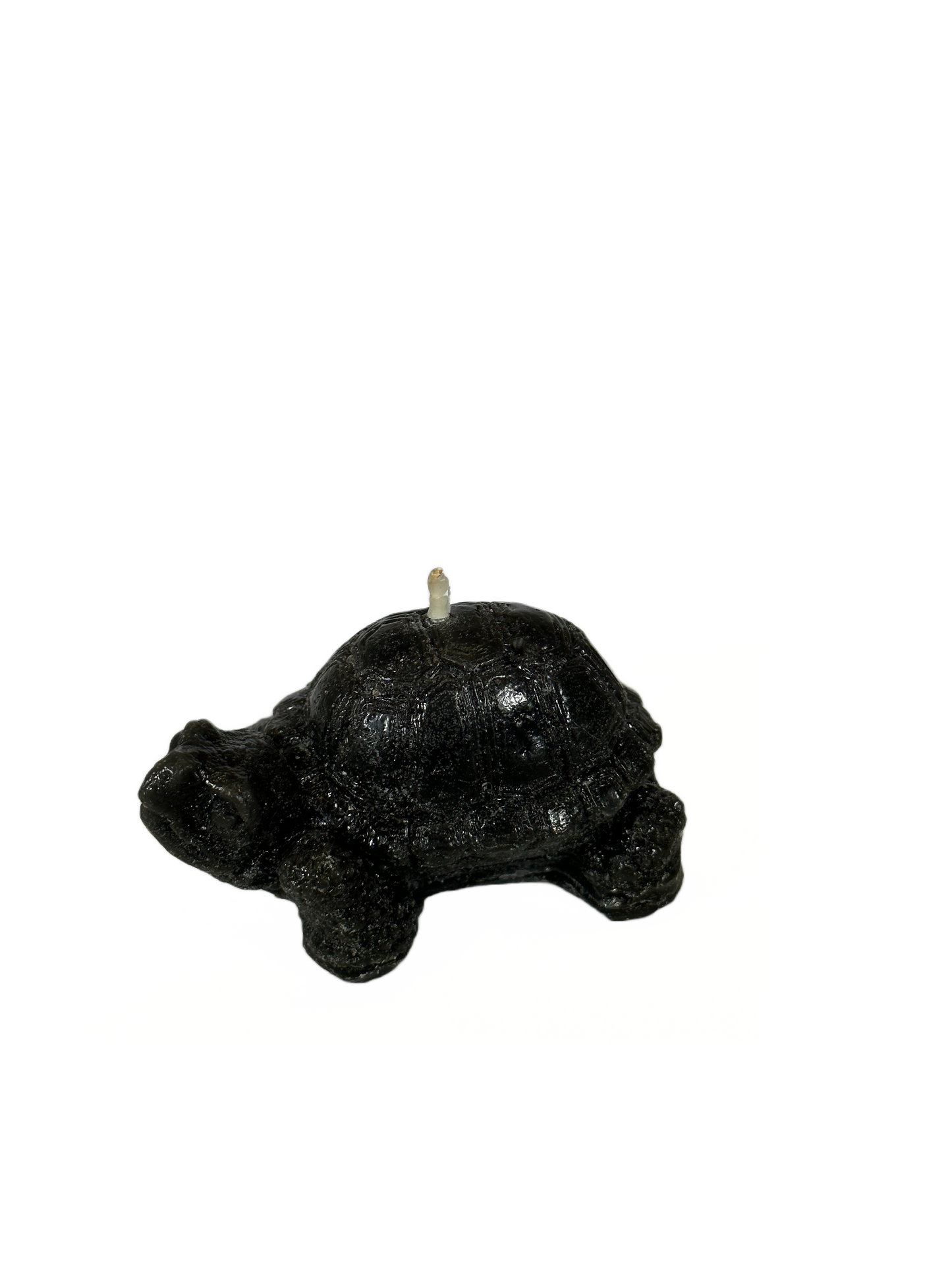 Turtle - Ginger and Spice Scent, Black