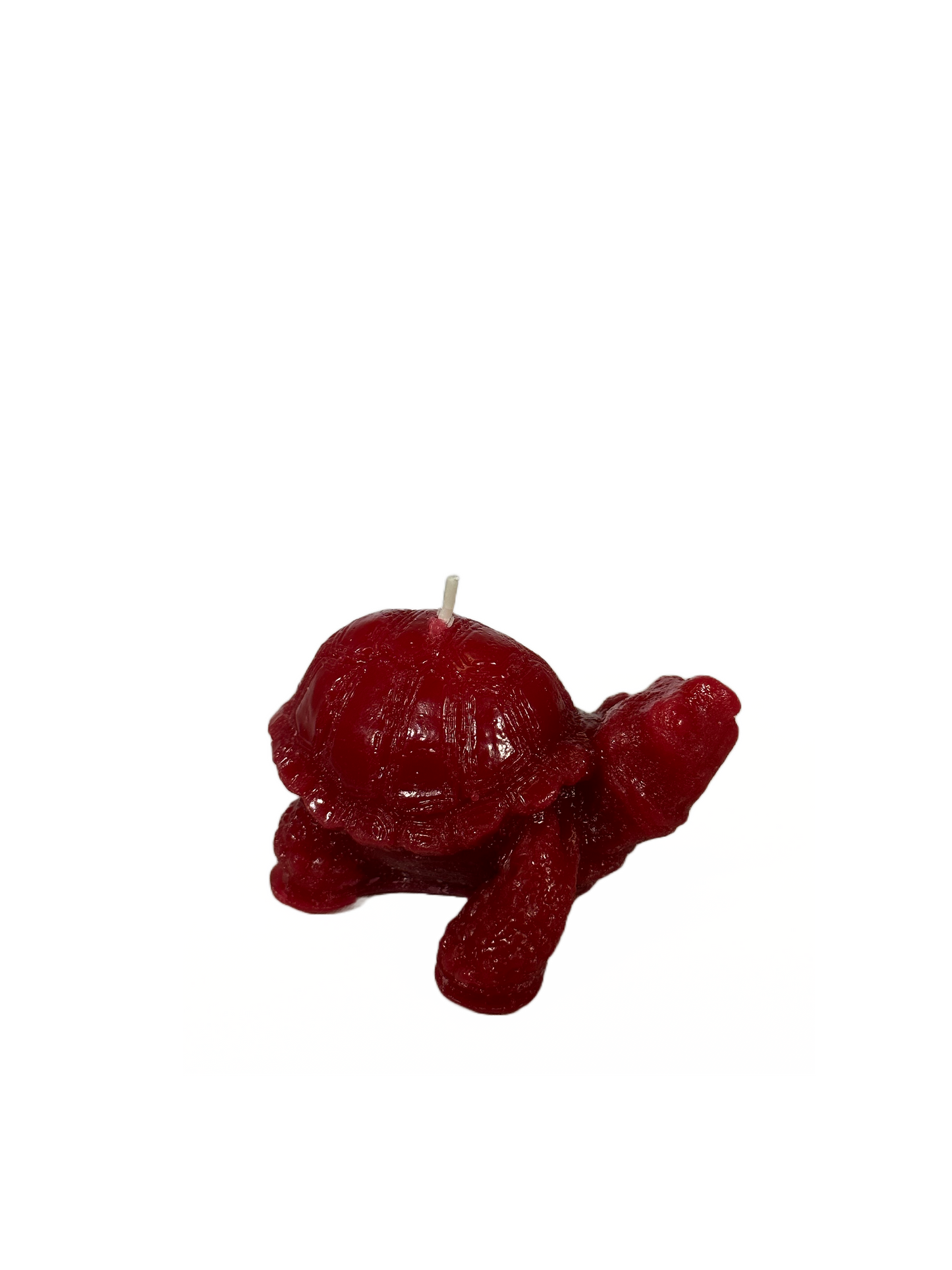 Turtle - Unscented, Red