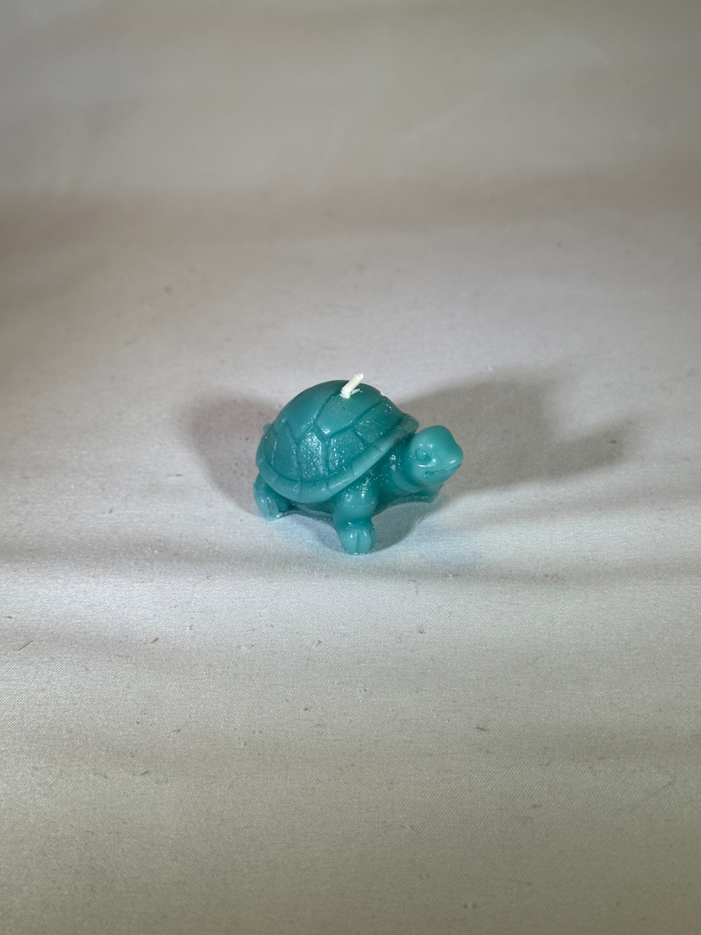 Tiny Turtle