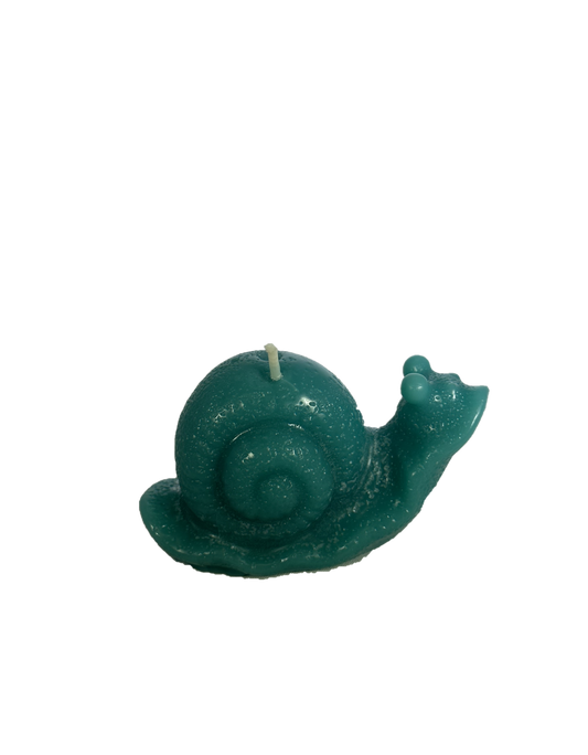 Snail - Sea Minerals Scent, Teal