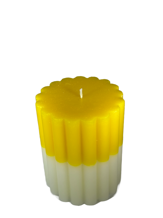 Scallop - White Tea Scent, Yellow/White