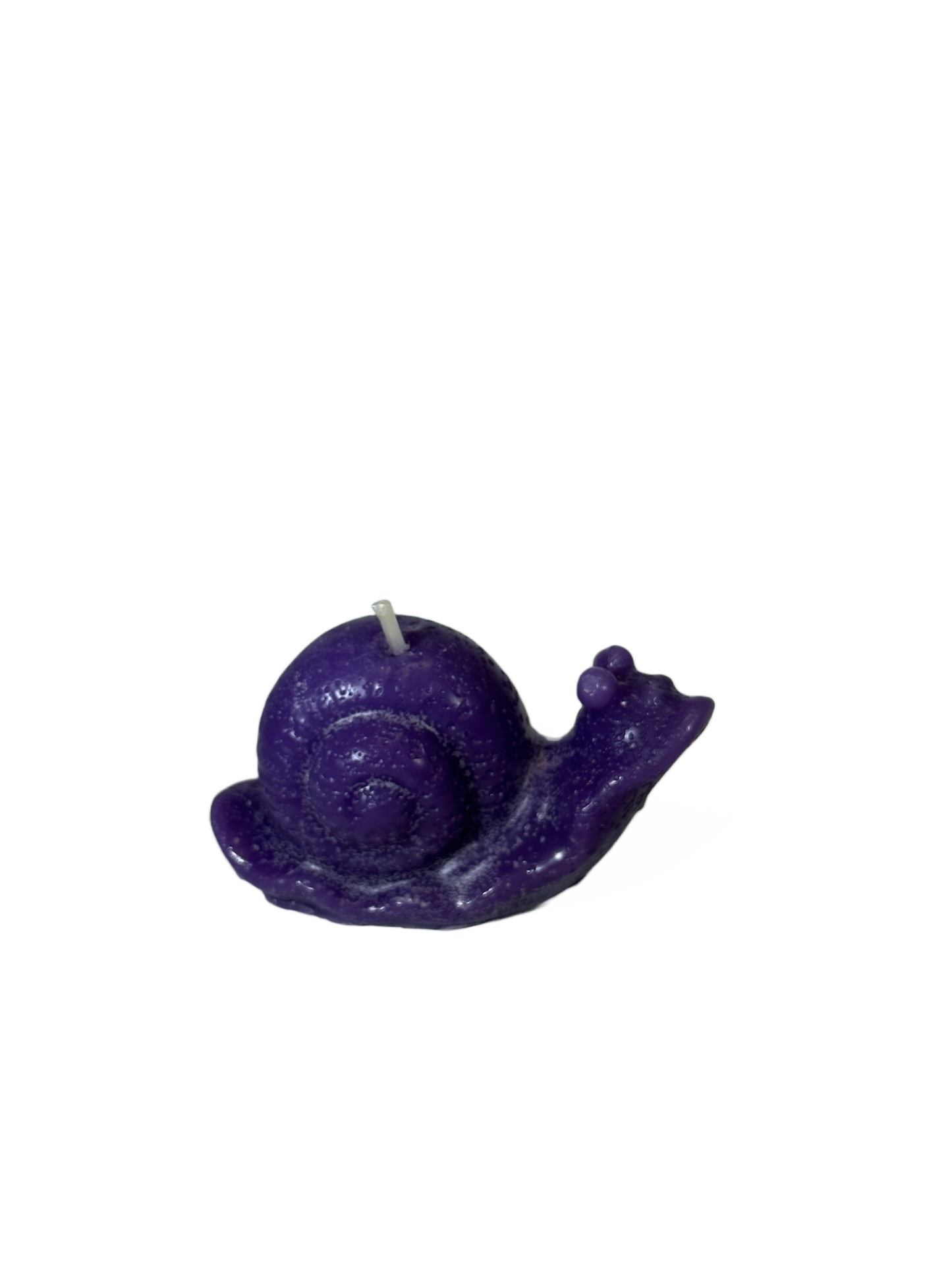 Snail