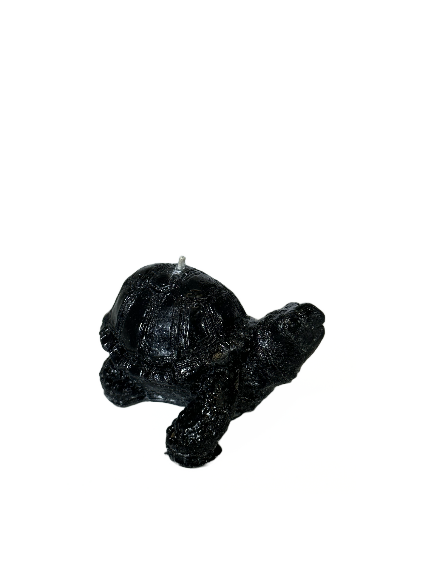 Turtle - Ginger and Spice Scent, Black