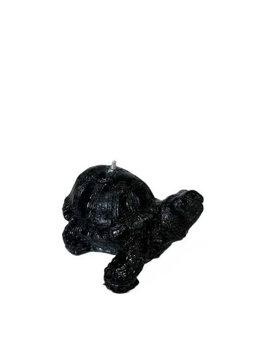 Turtle - Ginger and Spice Scent, Black