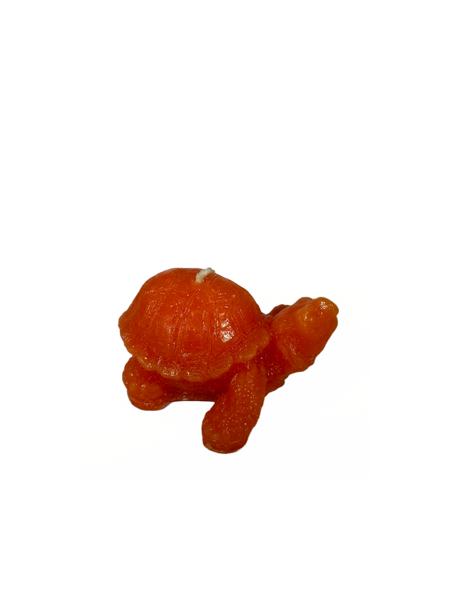 Turtle - Unscented, Orange