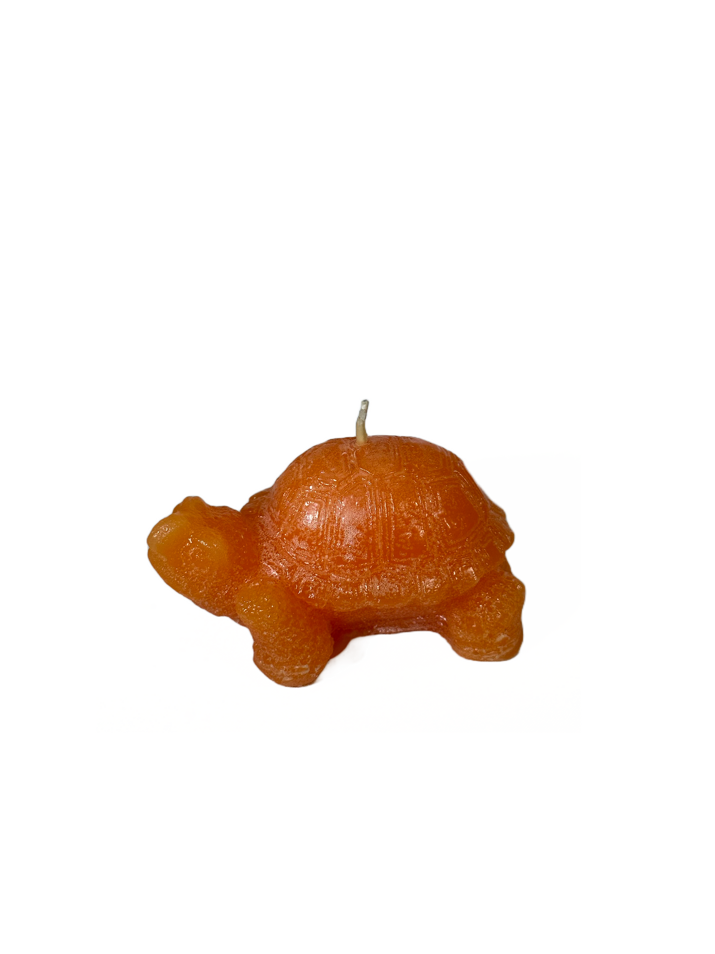 Turtle - Unscented, Orange